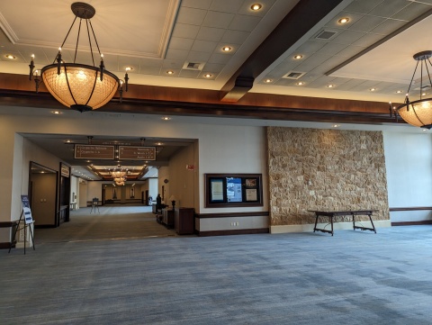 Picture of Grapevine Ballroom Entrance Way Wall Cling 